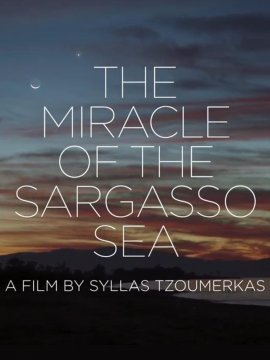 The Miracle of the Sargasso Sea