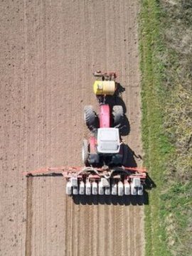 Insecticide: comment l'agrochimie a tué les insectes