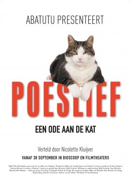 Chats, C'est Vraiment Nous