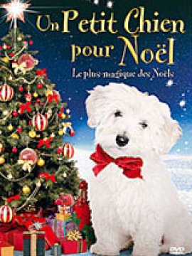 Un Petit chien pour Noël