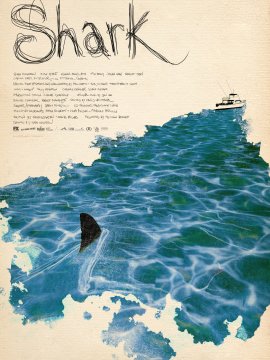 Shark