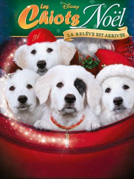 Les Chiots Noël, la relève est arrivée