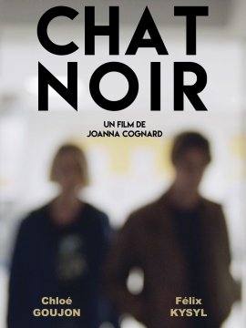 Chat Noir