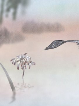 Un oiseau qui aime une fleur