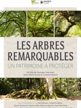 Les Arbres Remarquables, un patrimoine à protéger