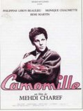 Camomille
