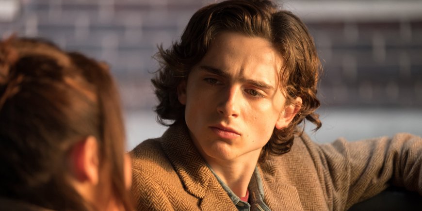 Timothée Chalamet dans