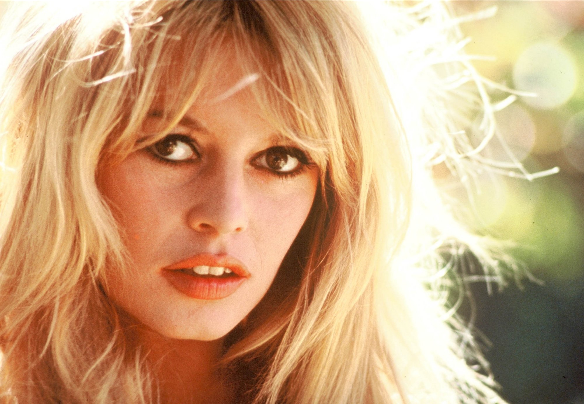 Portrait de Brigitte Bardot.