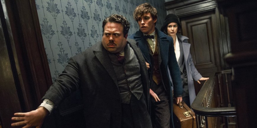 Dan Fogler, Eddie Redmayne, Katherine Waterston dans