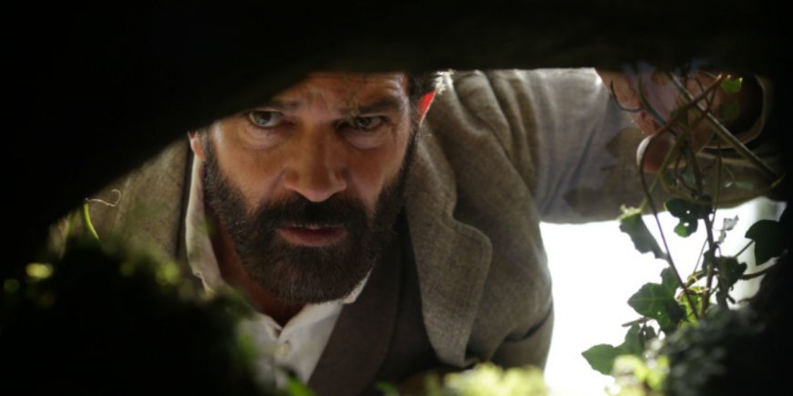 Antonio Banderas dans