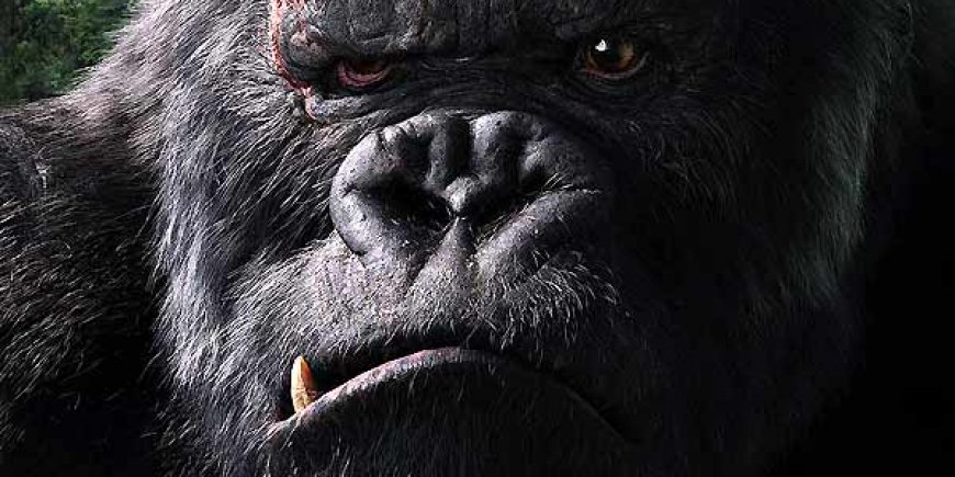 King Kong