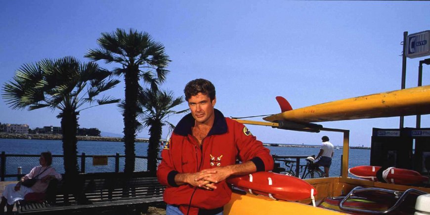 David Hasselhoff à Marina Del Rey en 1993.