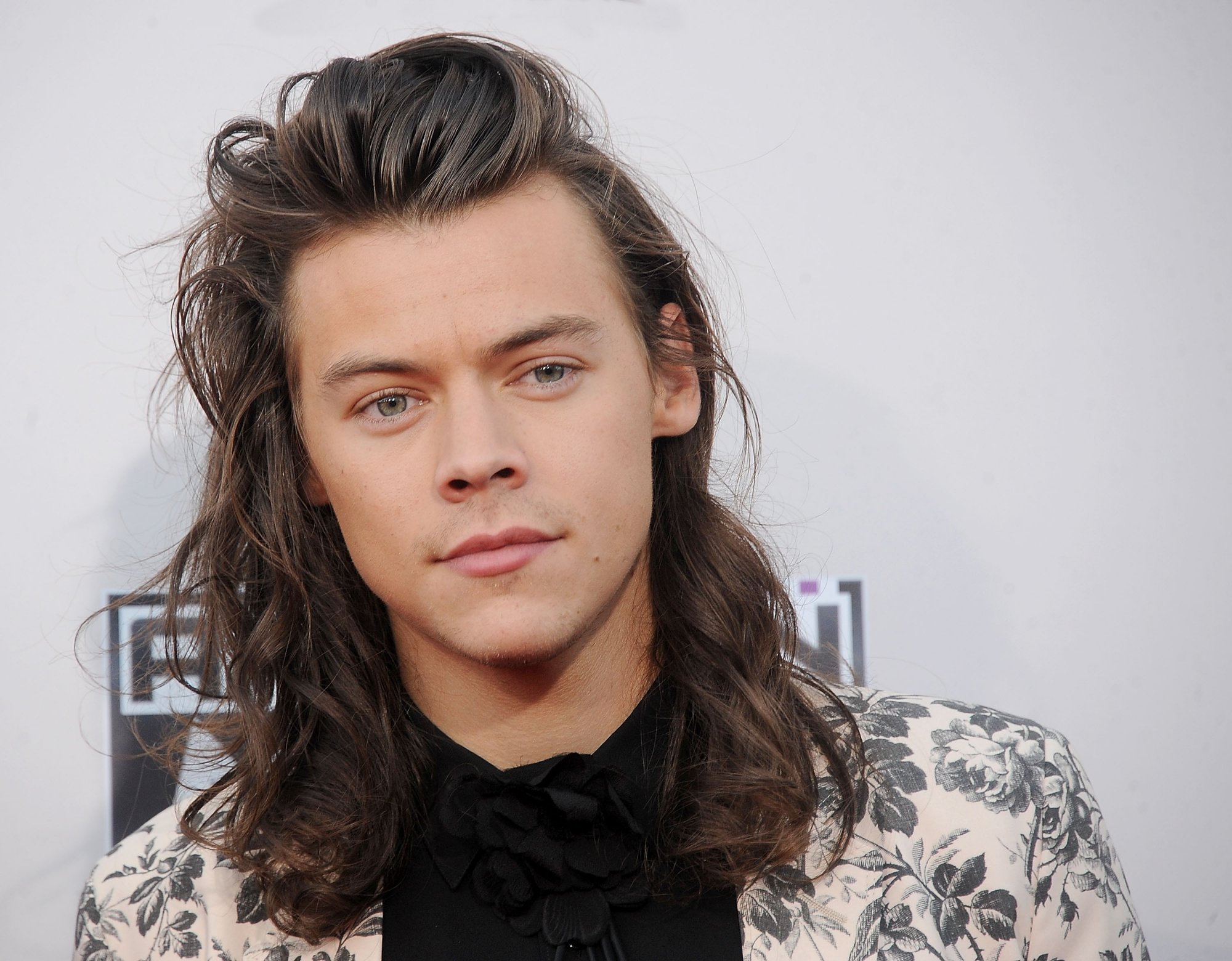 Harry Styles sur le tapis rouge des American Music Awards à Los Angeles, en novembre 2015.