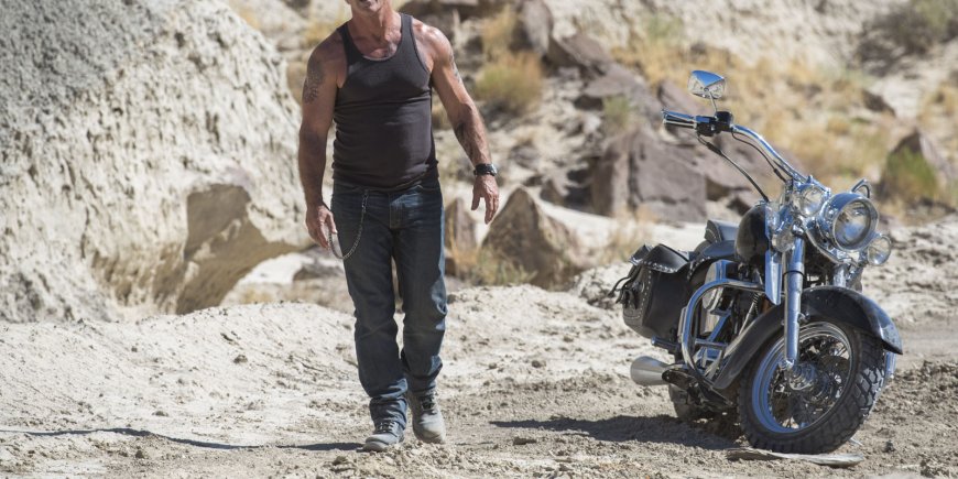 Mel Gibson dans