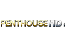 PENTHOUSE HD 1 programme tv PENTHOUSE HD 1