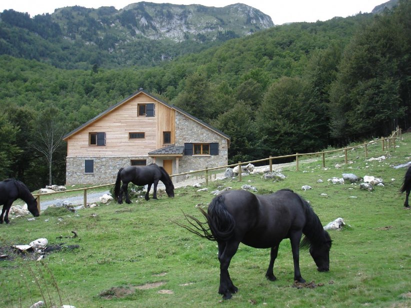 Une belle immersion au coeur de l'Ariège Une belle immersion au coeur de l'Ariège