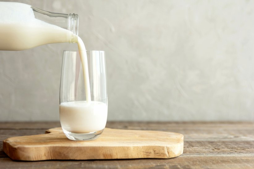 Le lait de vache, le fromage et les oeufs Le lait de vache, le fromage et les oeufs