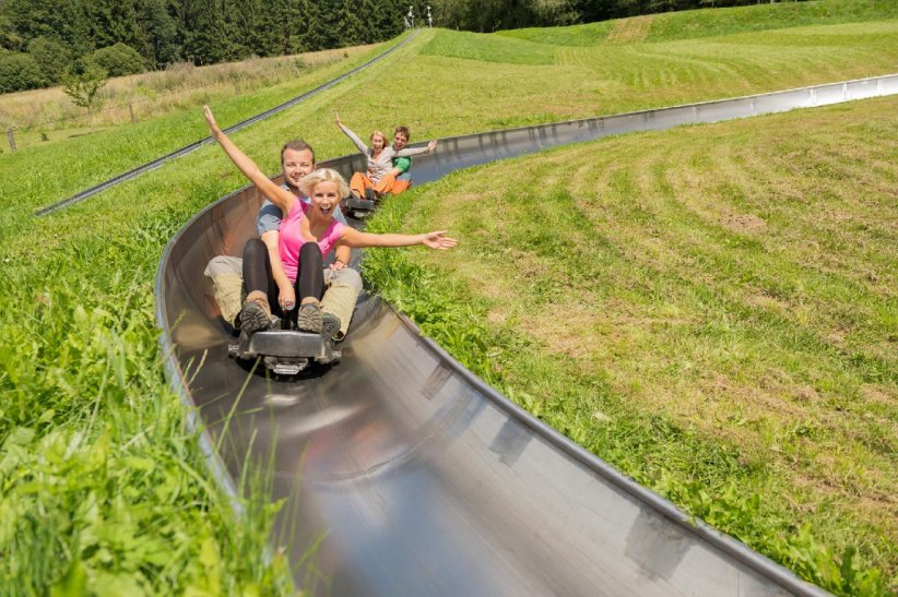La luge d'été La luge d'été