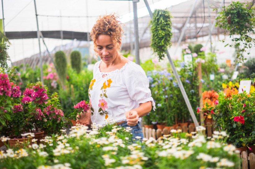 Bien choisir les espèces de plantes Bien choisir les espèces de plantes