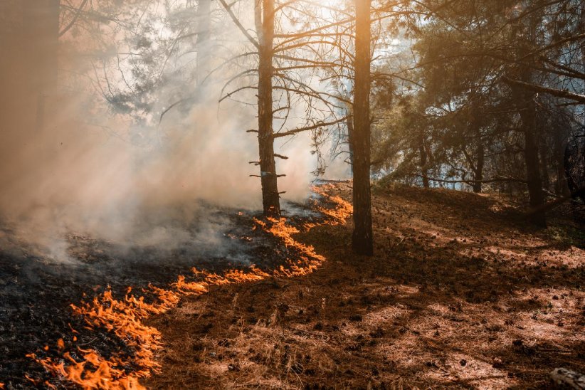 Une augmentation des incendies Une augmentation des incendies