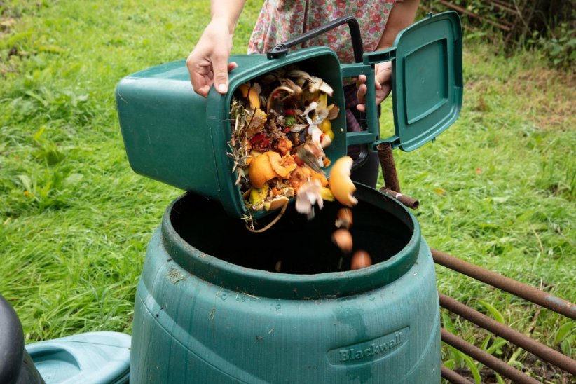 Remplacer l'engrais chimique par le compost Remplacer l'engrais chimique par le compost
