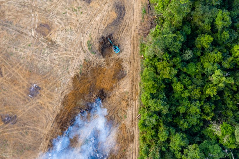 Lutter contre la déforestation Lutter contre la déforestation