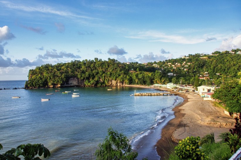 Sainte-Lucie aux Antilles, pour son surprenant rite de Noël Sainte-Lucie aux Antilles, pour son surprenant rite de Noël
