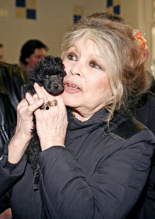 Brigitte Bardot interpelle Nicolas Hulot sur l'abattage des loups Brigitte Bardot interpelle Nicolas Hulot sur l'abattage des loups