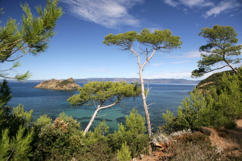 Le Parc national de Port-Cros et sa faune marine préservée Le Parc national de Port-Cros et sa faune marine préservée