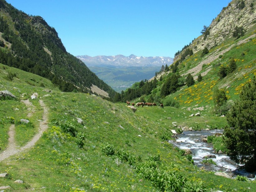 La réserve naturelle de la vallée d'Eyne La réserve naturelle de la vallée d'Eyne