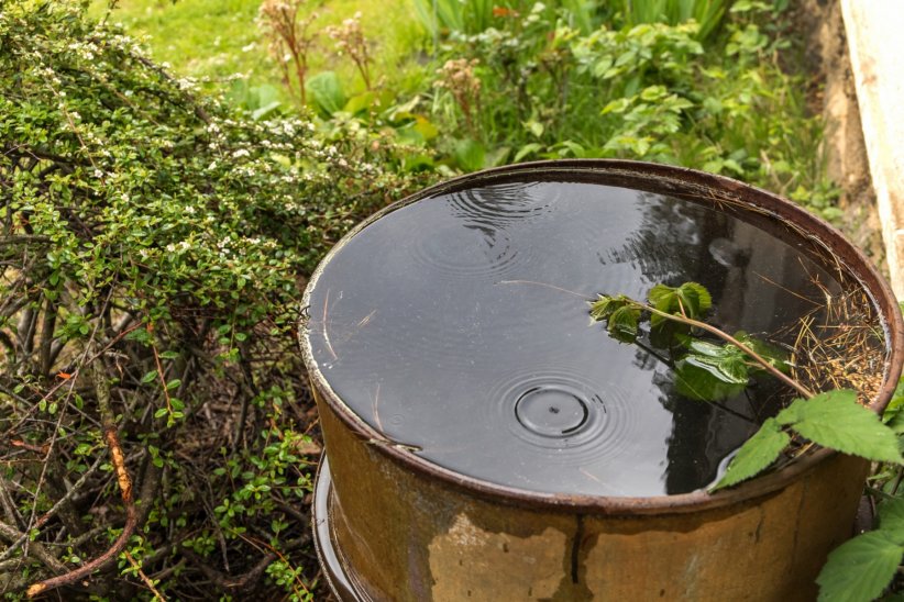 Récupérer l'eau de pluie Récupérer l'eau de pluie