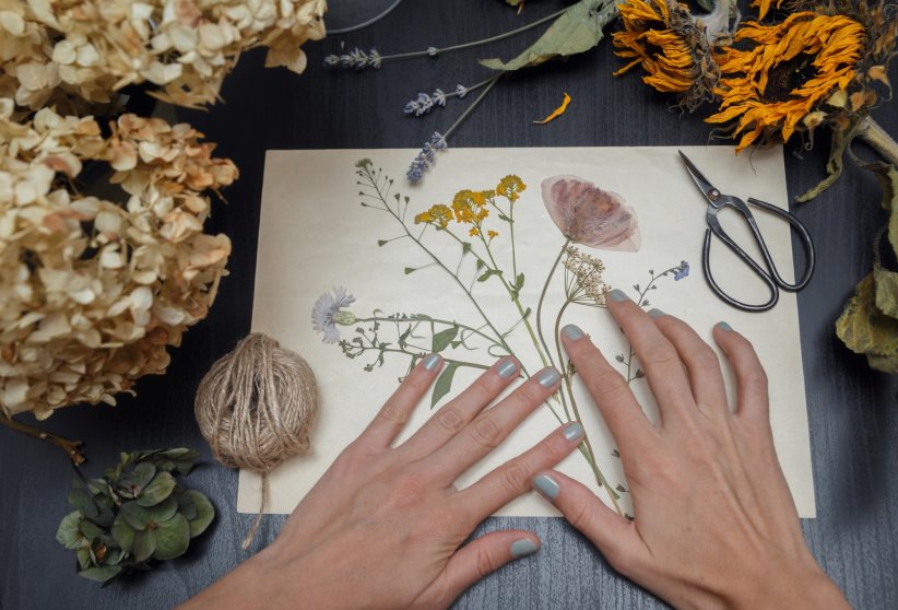 Un herbier sous verre Un herbier sous verre