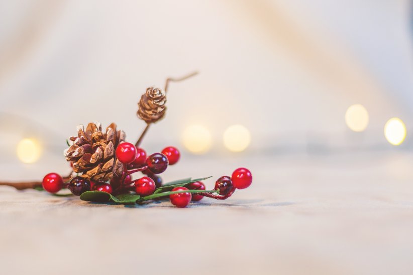 Pignes de pin, branches de sapin et houx pour une décoration naturelle Pignes de pin, branches de sapin et houx pour une décoration naturelle