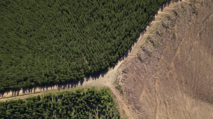 Des paysages qui se modifient Des paysages qui se modifient