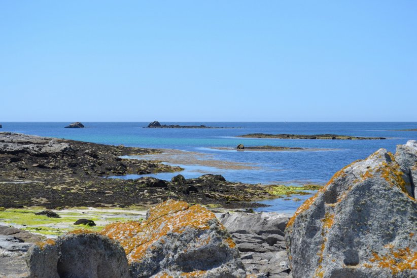 L'archipel des Glénan et ses fonds marins foisonnants L'archipel des Glénan et ses fonds marins foisonnants