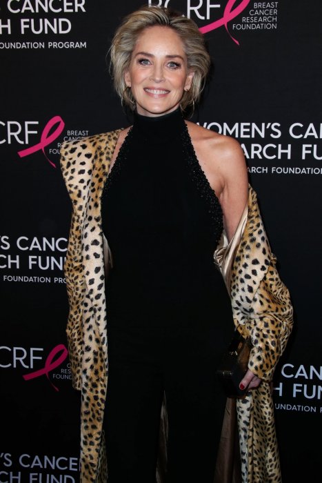 Sharon Stone : des cheveux blancs qui n'enlèvent rien à sa beauté Sharon Stone : des cheveux blancs qui n'enlèvent rien à sa beauté