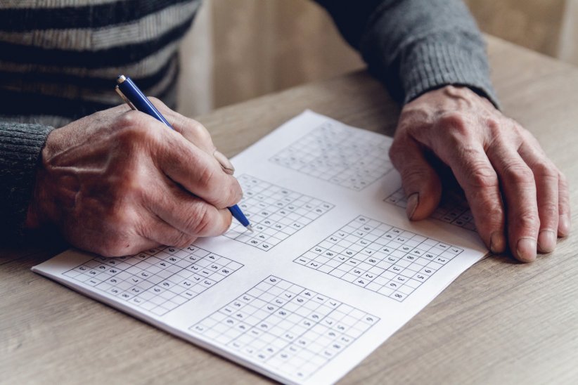 Le sudoku : le puzzle pour les amateurs de chiffres Le sudoku : le puzzle pour les amateurs de chiffres