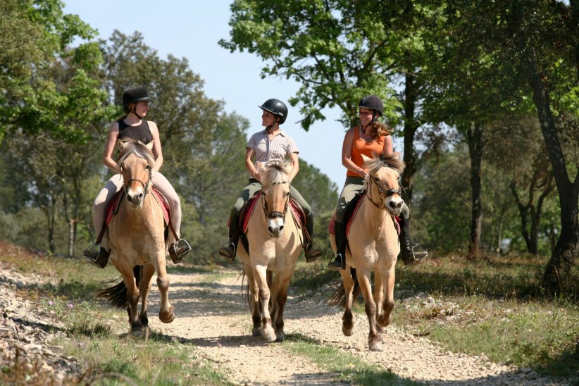 L'équitation, un sport complet L'équitation, un sport complet