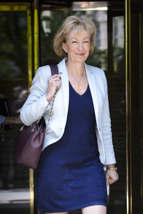 Andrea Leadsom : l'autre probable remplaçante de David Cameron Andrea Leadsom : l'autre probable remplaçante de David Cameron