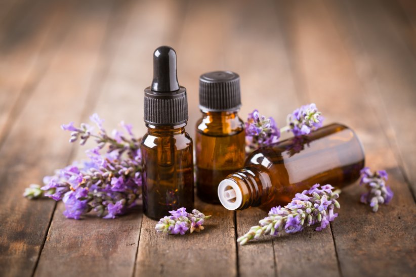 Miser sur les huiles essentielles Miser sur les huiles essentielles