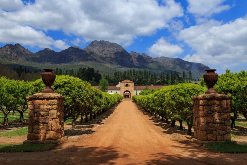La Route de Stellenbosch, en Afrique du Sud La Route de Stellenbosch, en Afrique du Sud