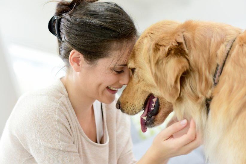 La zoothérapie : le bien-être par les animaux La zoothérapie : le bien-être par les animaux