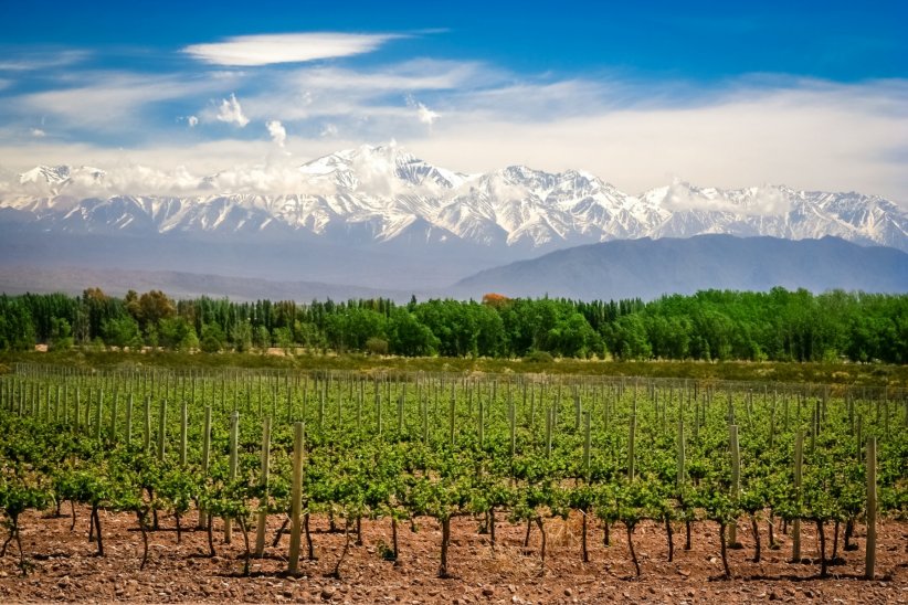 La région de Mendoza, en Argentine La région de Mendoza, en Argentine