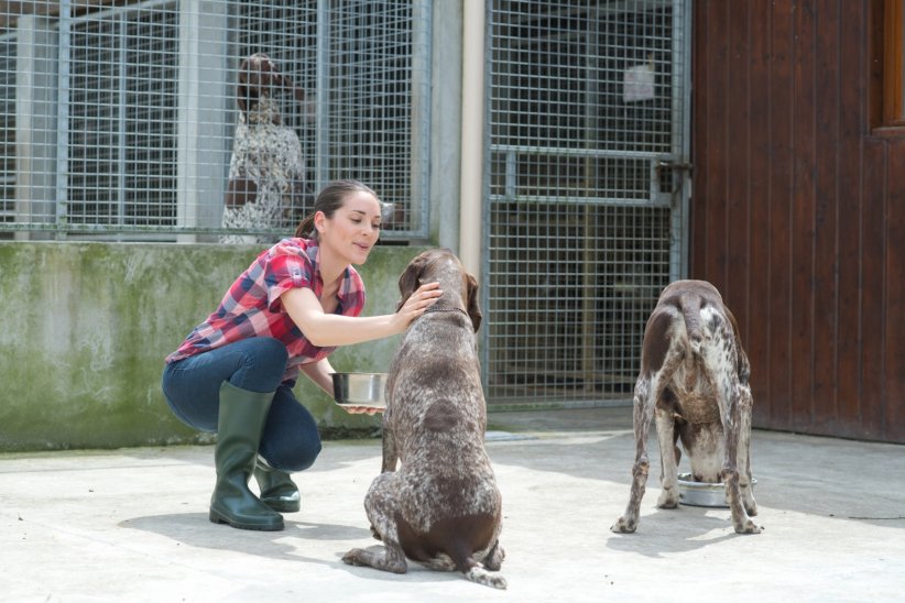 S'occuper des animaux avec la SPA S'occuper des animaux avec la SPA