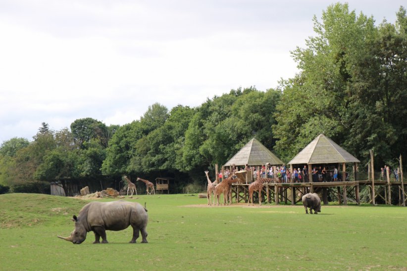 Le parc zoologique Cerza à Hermival-Les-Vaux (Calvados) Le parc zoologique Cerza à Hermival-Les-Vaux (Calvados)