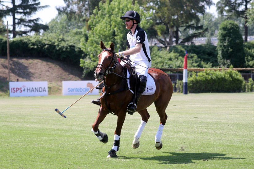 Prince Harry : le polo en famille Prince Harry : le polo en famille