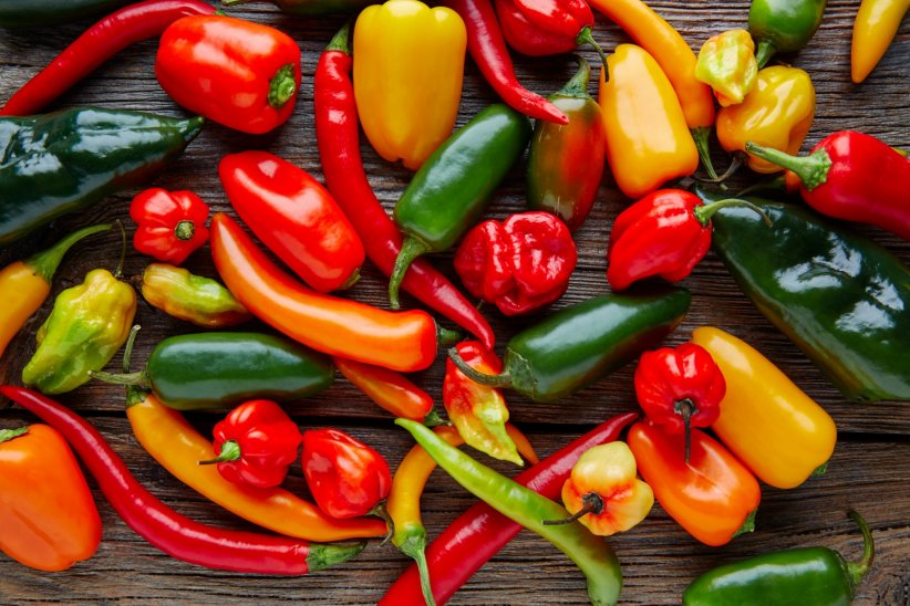 Une difficulté à manger certains aliments Une difficulté à manger certains aliments