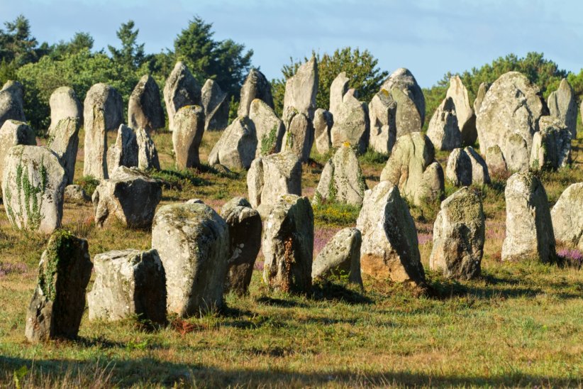 Les alignements de Carnac Les alignements de Carnac