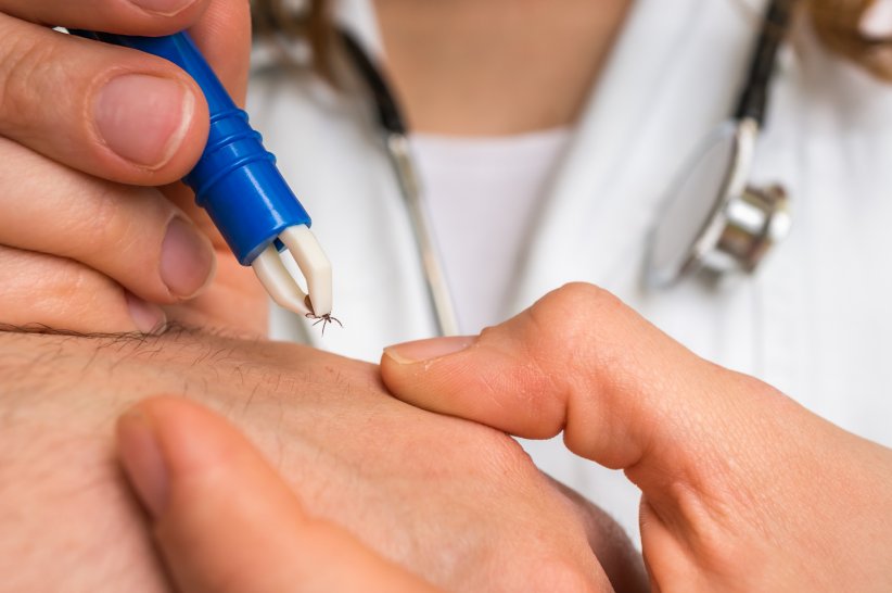 Avoir la maladie de Lyme Avoir la maladie de Lyme