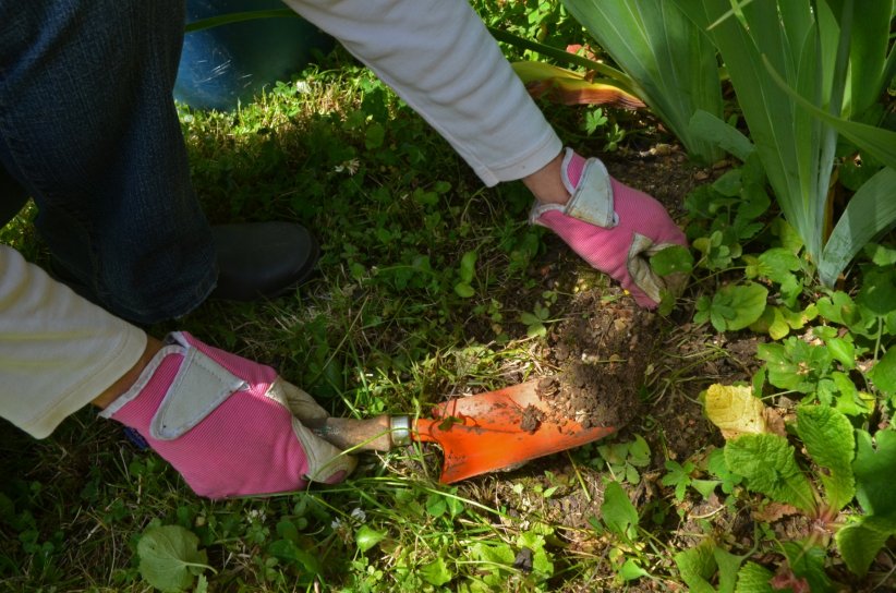 Nettoyer son jardin en profondeur Nettoyer son jardin en profondeur